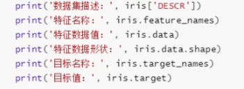 image-20251214143228045